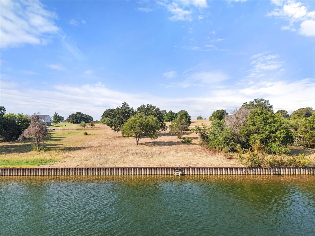 Picture 11