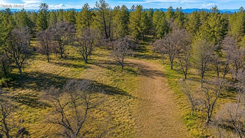LAND - Shingletown, CA
