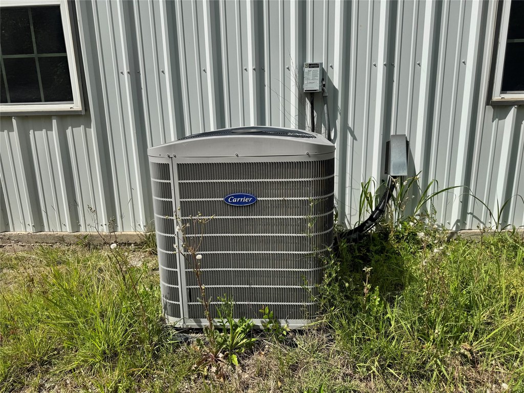 Picture 11