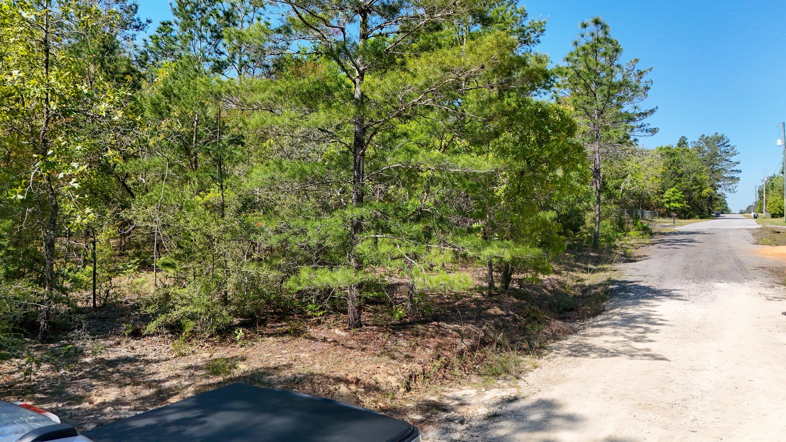 DeFuniak Springs Buildable Land