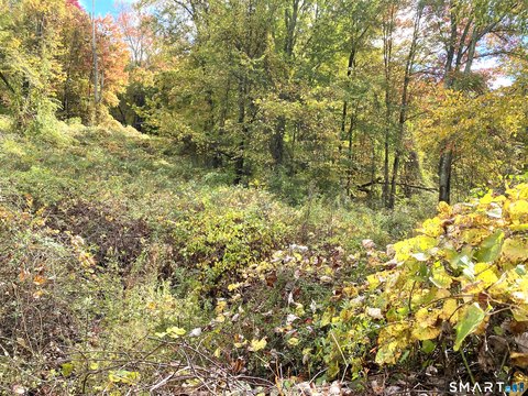 Lots and Land For Sale, Roxbury, CT