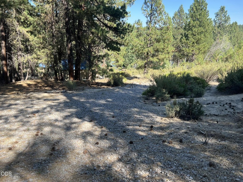 Picture 30