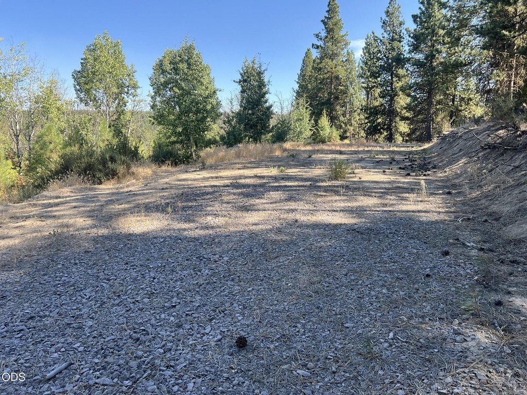 Picture 28