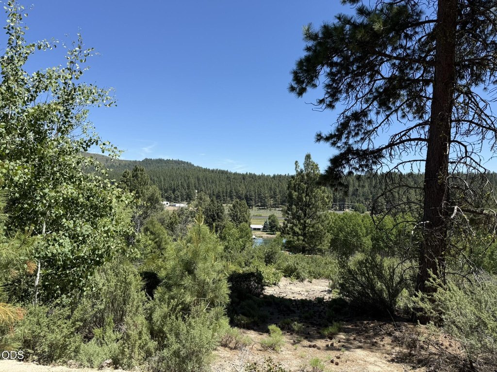 Picture 22