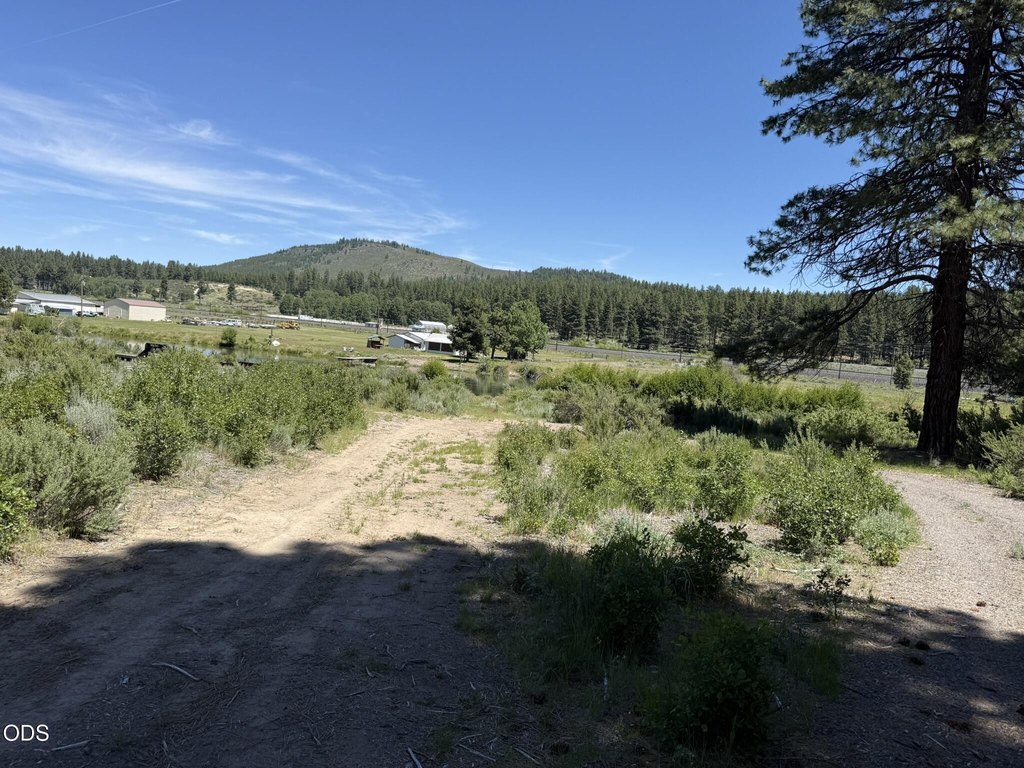Picture 23