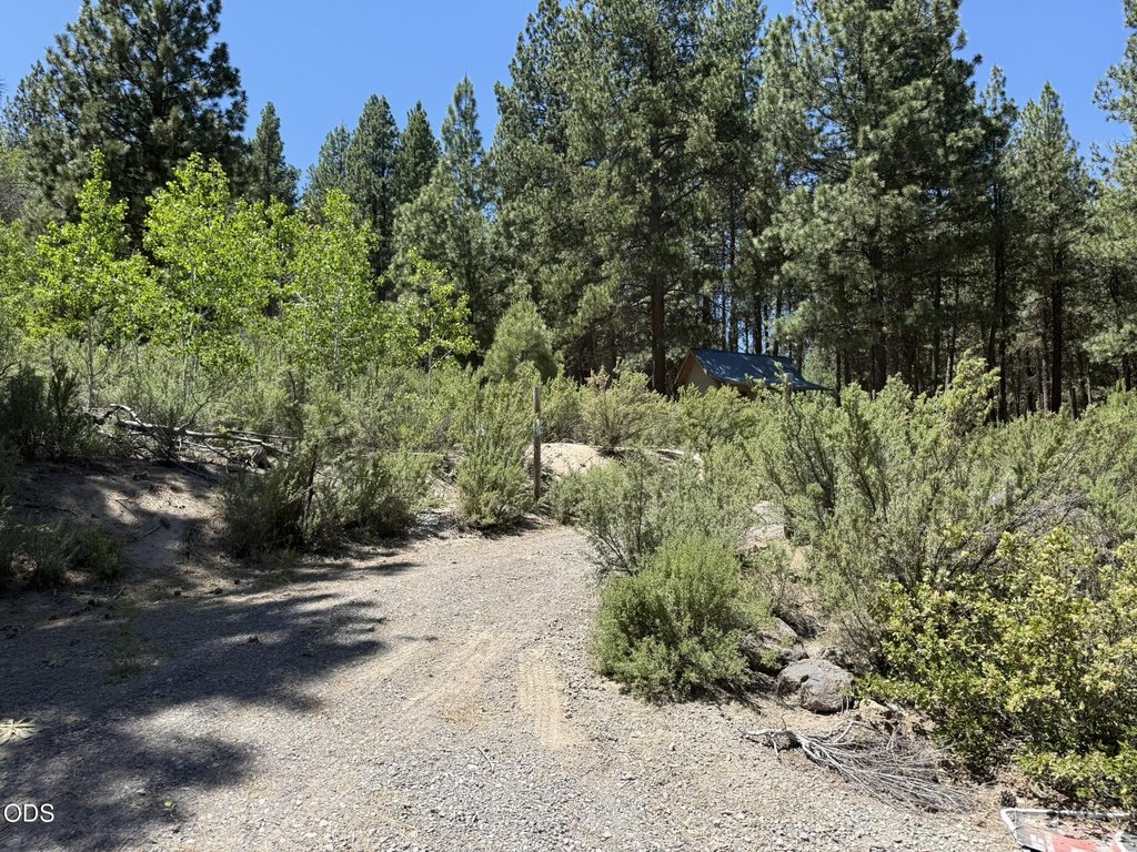 Picture 21