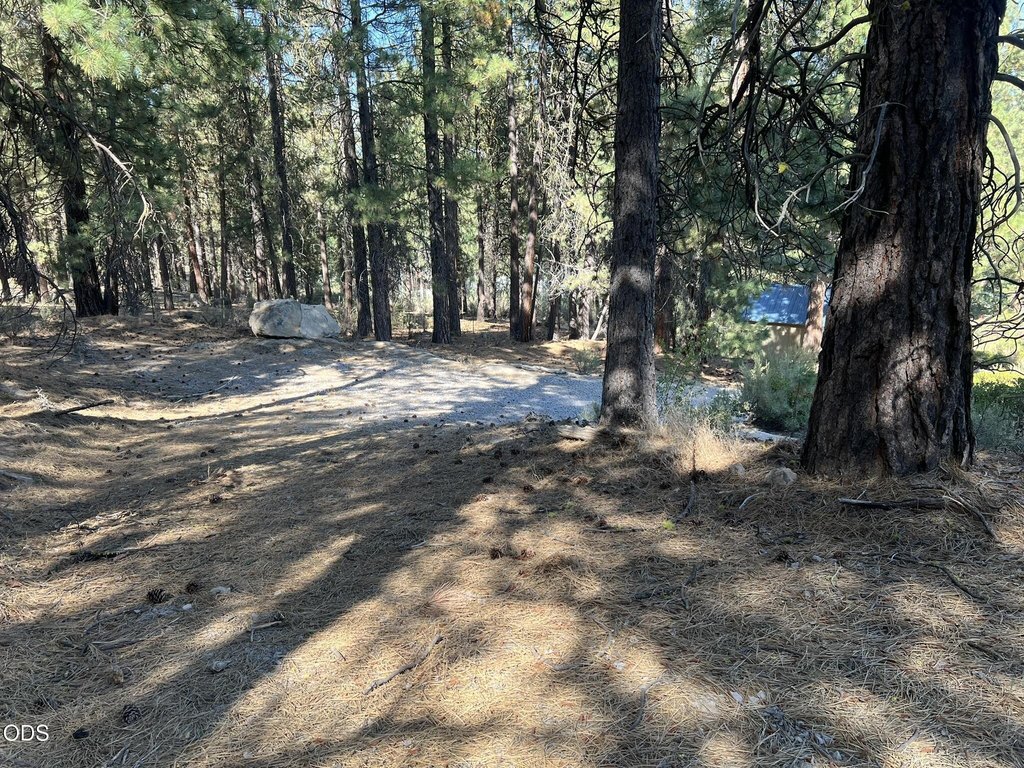 Picture 29