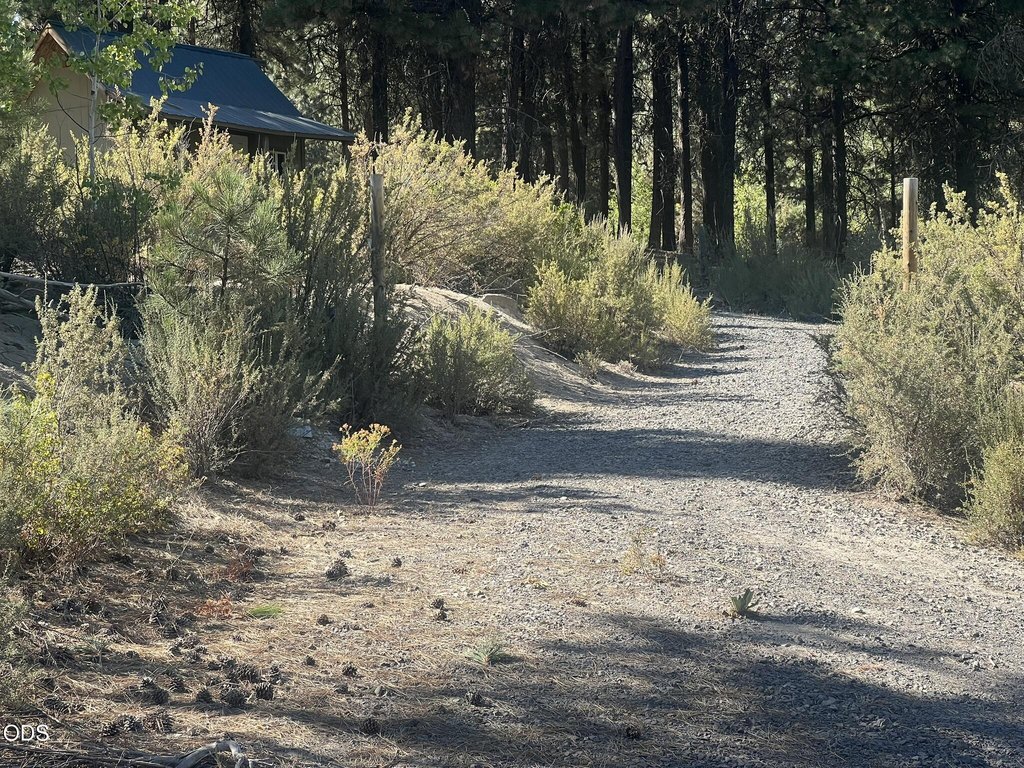 Picture 5