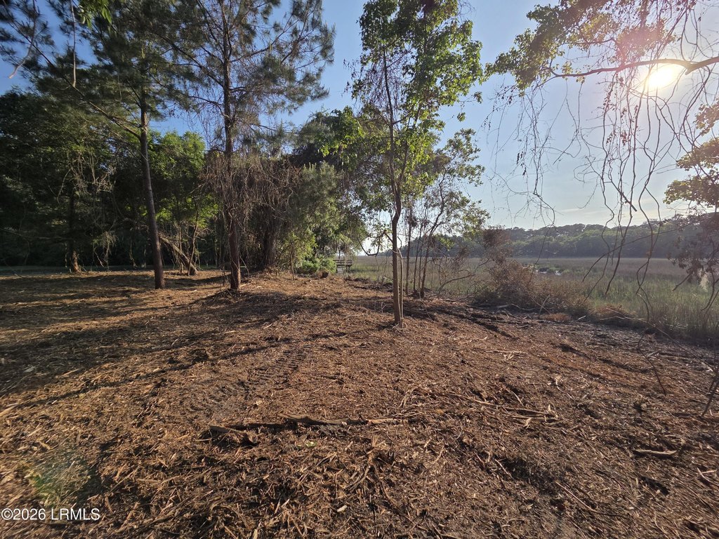 Picture 4