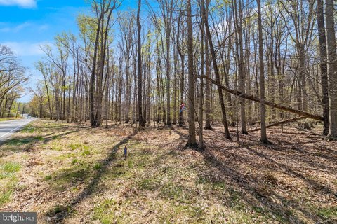 Land, WHITE PLAINS, MD