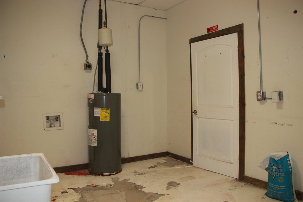 Picture 15