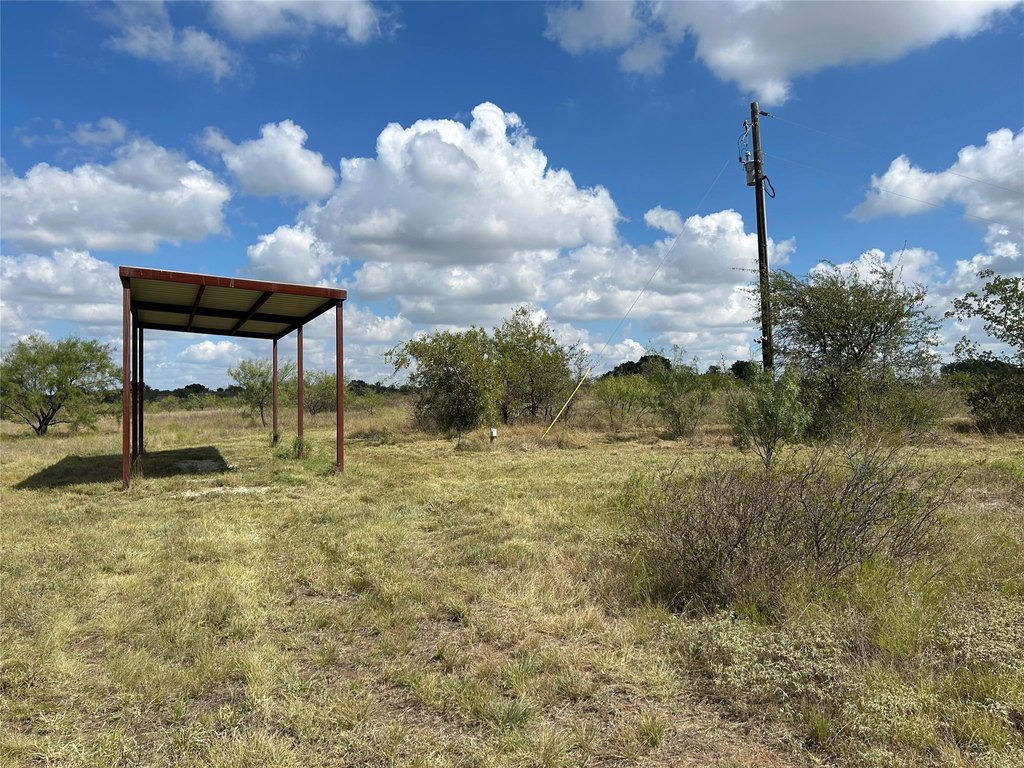 Picture 29