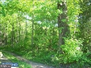 Secluded Land in Upper Black Eddy