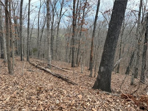 Wooded Lot Near Back 40