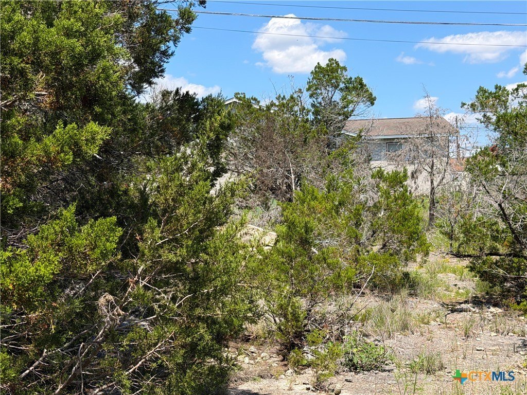 Picture 14