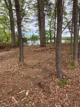 Waterfront Land on Presley Creek