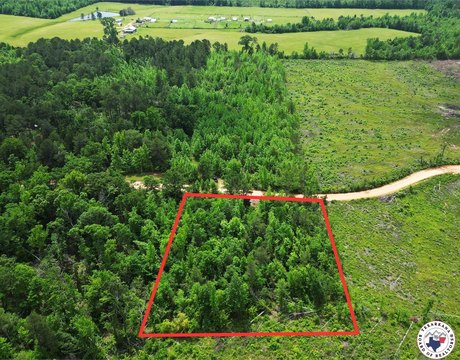 Secluded 2-Acre Hunting Land