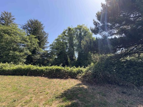 Coastal Land Near Redwood Forests