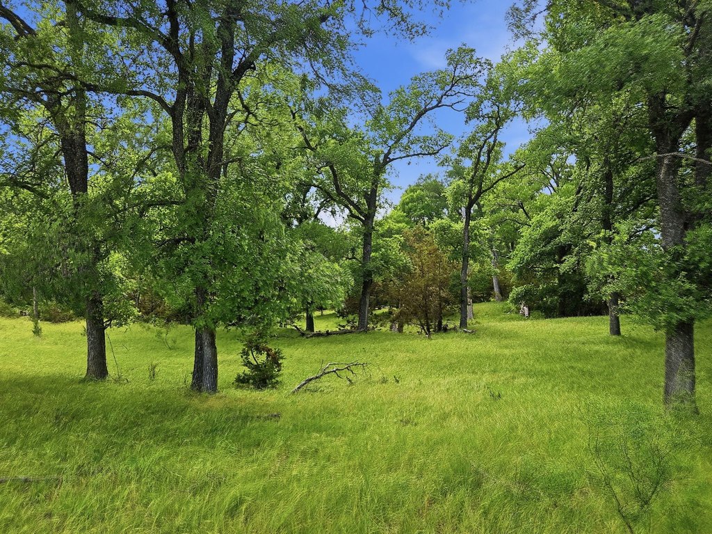 Picture 23