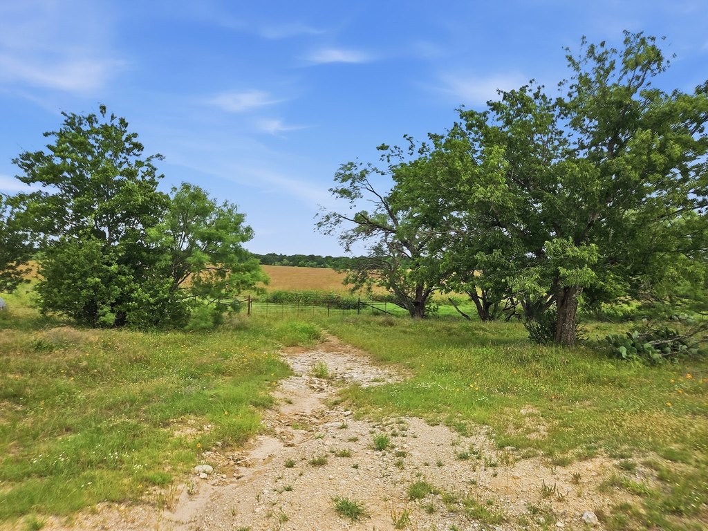 Picture 34