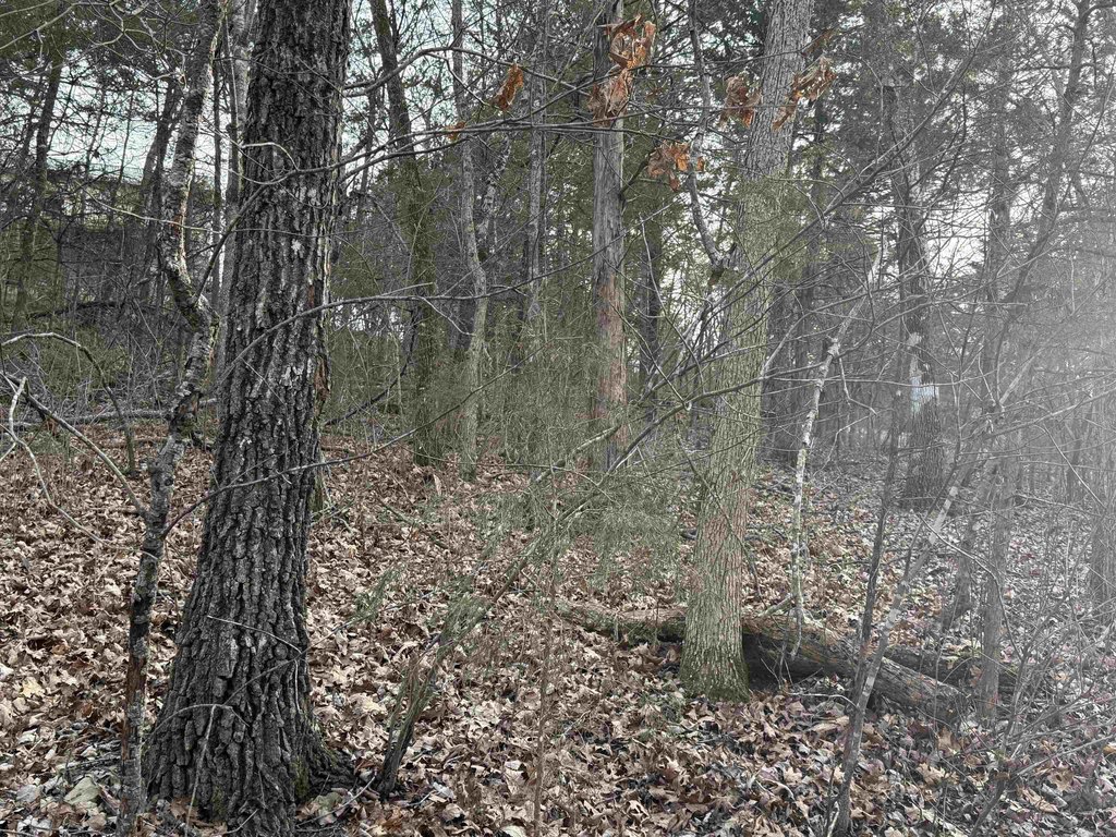 Picture 9
