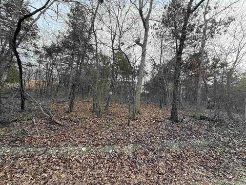 Wooded Lot Near Bull Shoals
