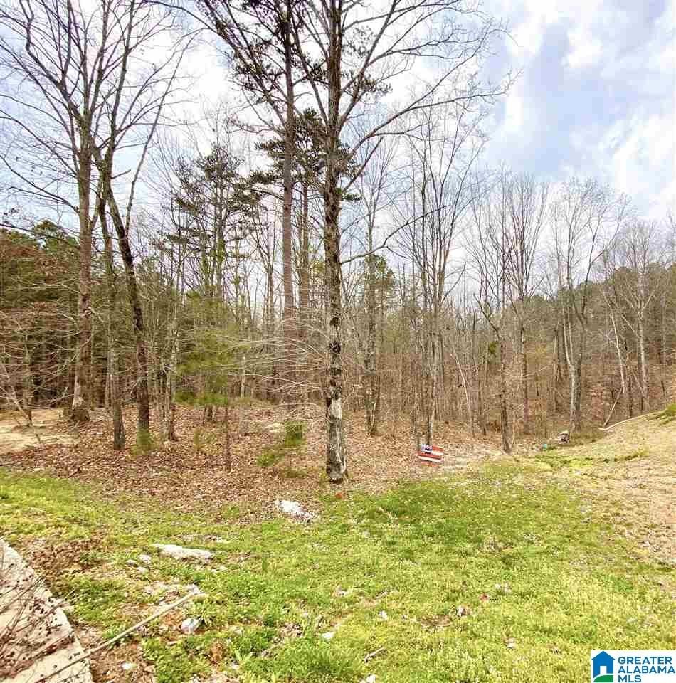 Residential Lot in Taylor's Cove