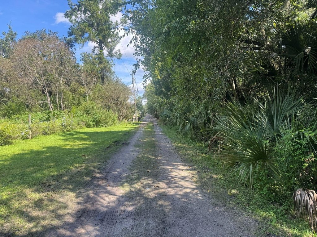 Picture 16