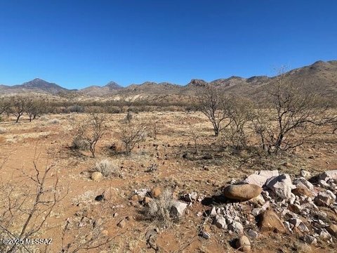 Vacant Land in Rio Rico
