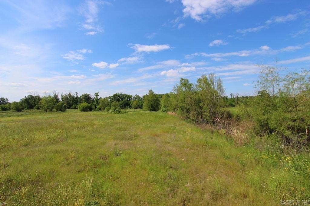 Picture 27