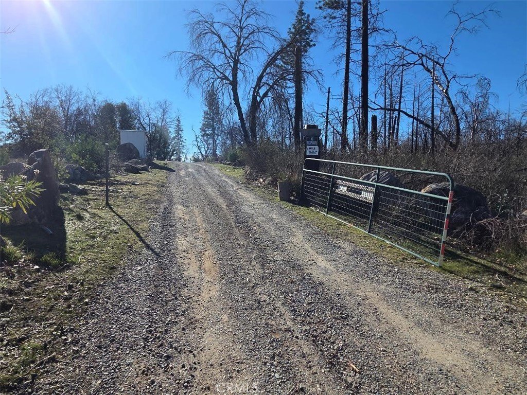 Mountain View Acreage in Berry Creek