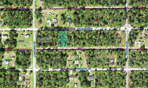 LAND - INDIAN LAKE ESTATES, FL