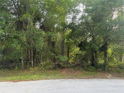 Residential Land in Palm Coast