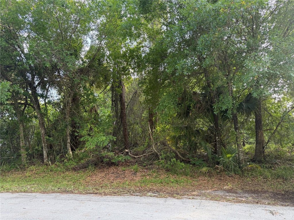 Picture 4
