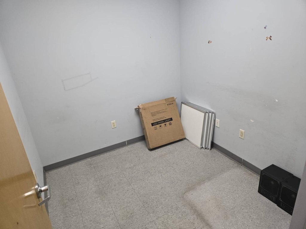 Picture 3
