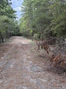 Land, Brookeland, TX