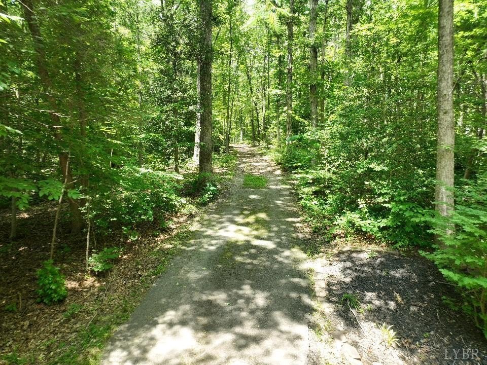 Picture 3