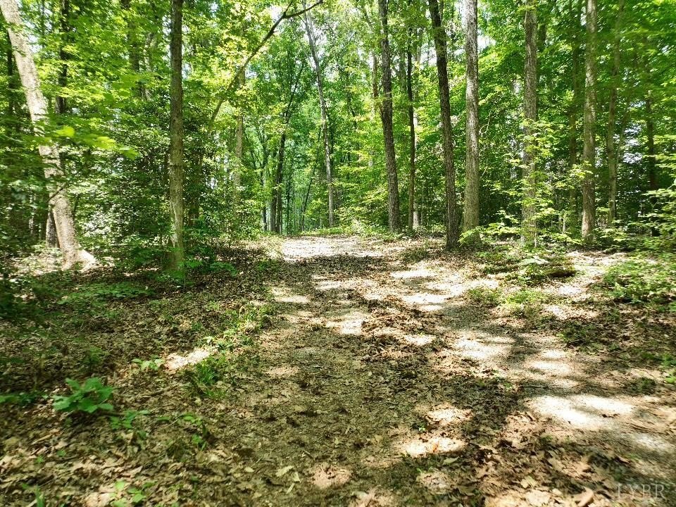 Picture 9
