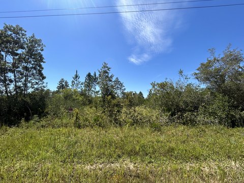 Fountain, Florida Land Opportunity
