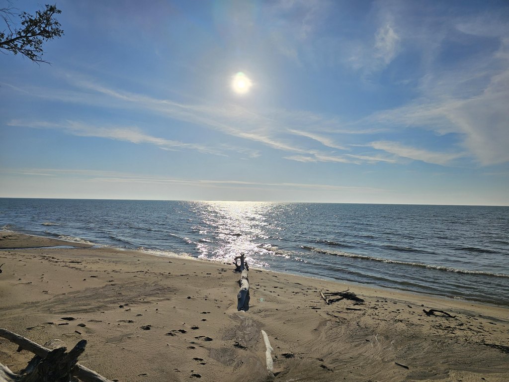 Picture 11