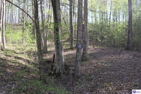 Lots and Land, Bee Spring, KY