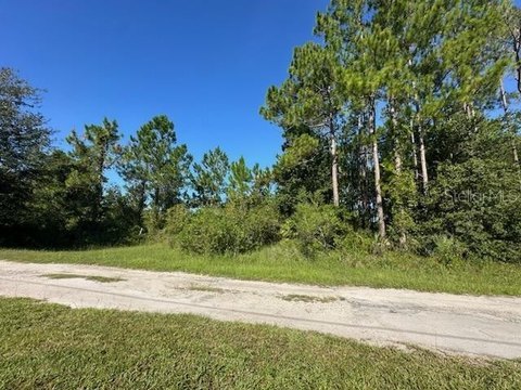 Land, PAISLEY, FL