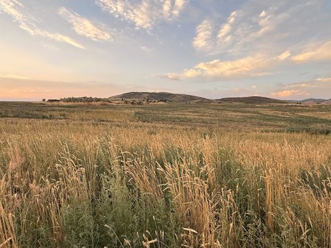 LAND - Soda Springs, ID