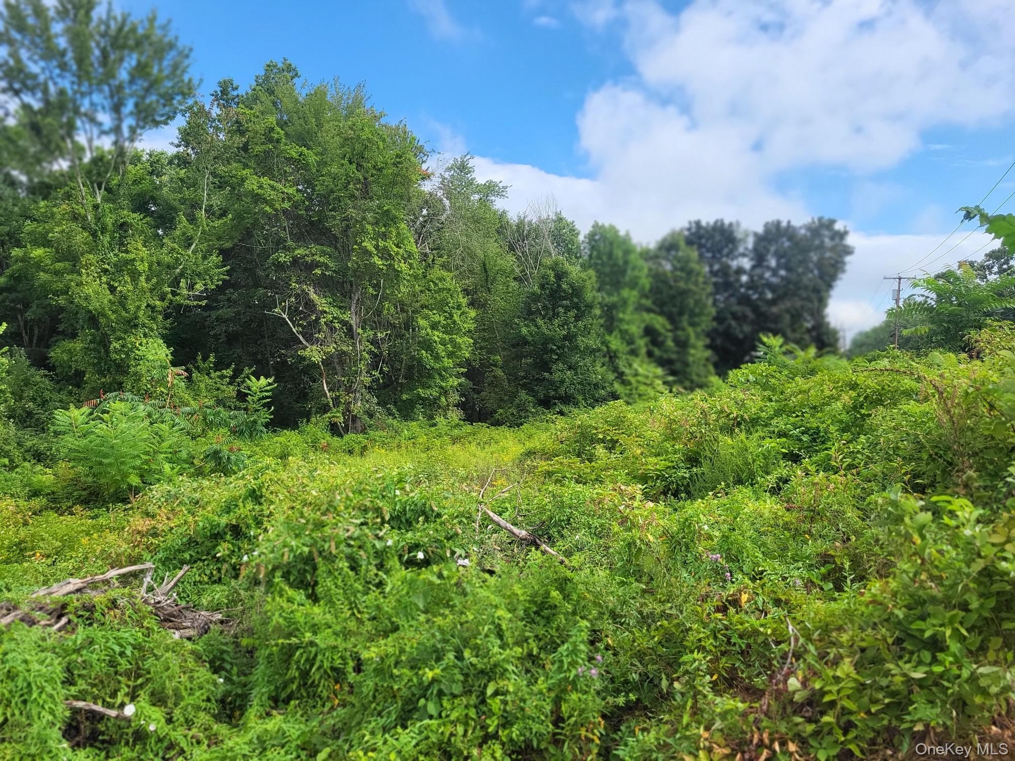 Wallkill Commercial Land Opportunity