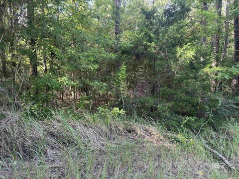 LAND - Stockton, AL