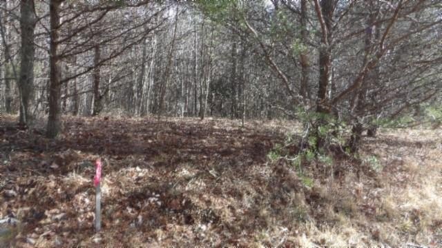 9.75 AC Recreational Land