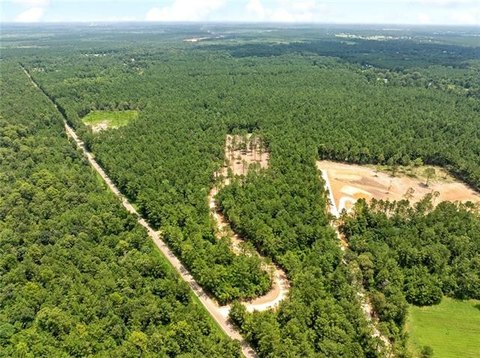 Vacant Land, Folsom, LA