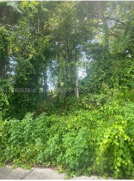 Residential Lot Near Little Lake