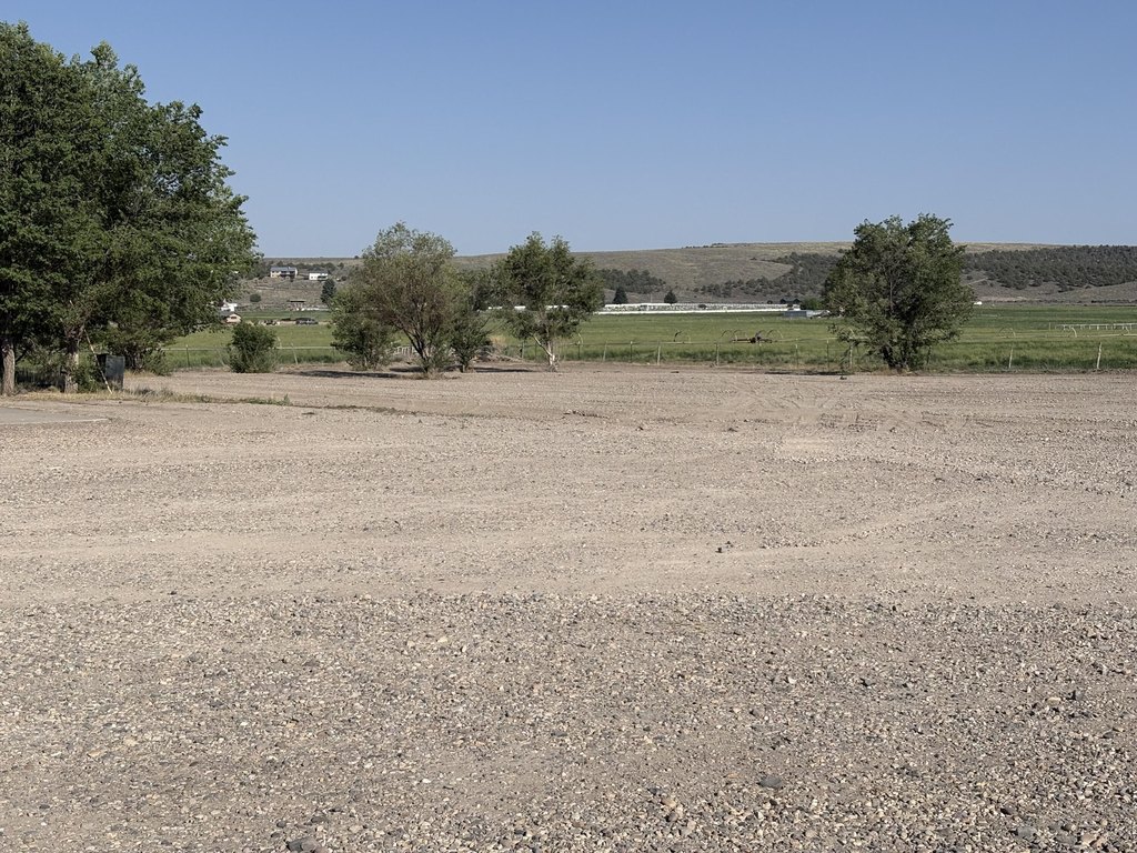 Picture 37