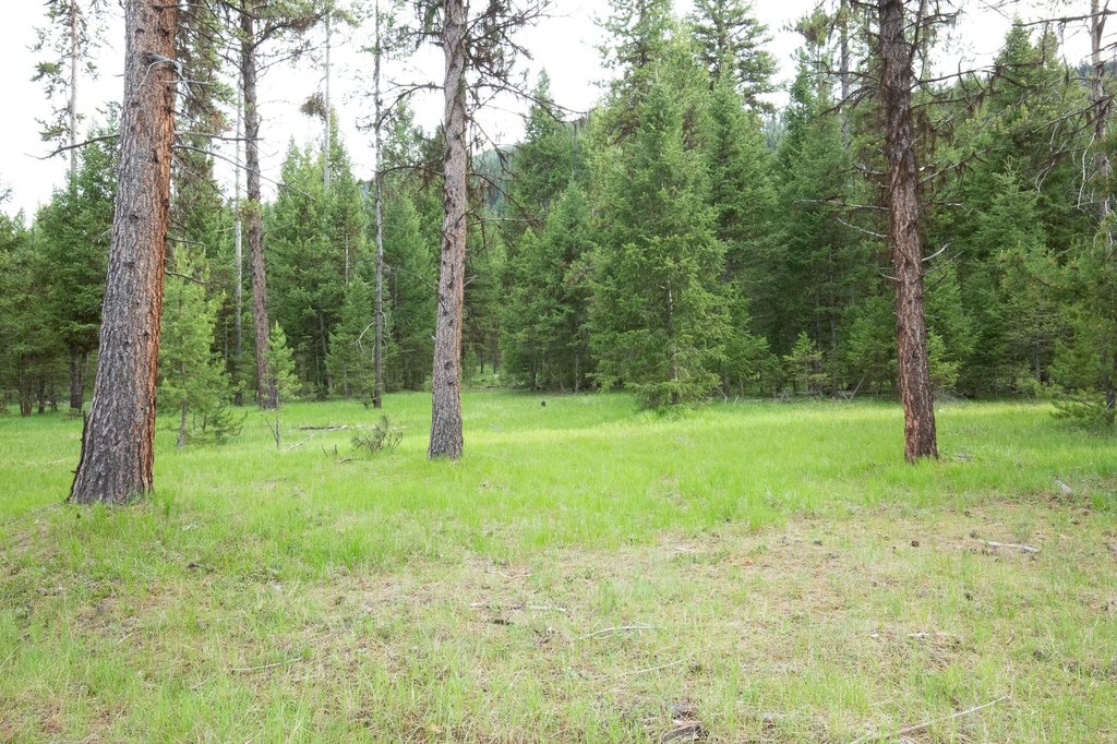 Picture 8